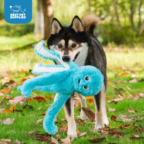Best Pet Supplies Crinkle Dog Toy for Small, Medium, and Large Breeds, Cute No Stuffing Duck with Soft Squeaker, Fun for Indoor Puppies and Senior Pups, Plush No Mess Chew and Play - Yellow - Image 188