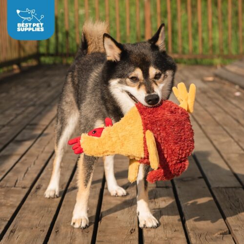 Best Pet Supplies Crinkle Dog Toy for Small, Medium, and Large Breeds, Cute No Stuffing Duck with Soft Squeaker, Fun for Indoor Puppies and Senior Pups, Plush No Mess Chew and Play - Yellow - Image 215