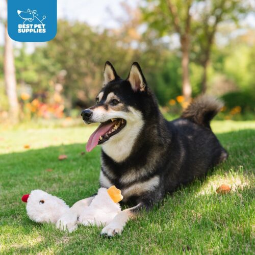 Best Pet Supplies Crinkle Dog Toy for Small, Medium, and Large Breeds, Cute No Stuffing Duck with Soft Squeaker, Fun for Indoor Puppies and Senior Pups, Plush No Mess Chew and Play - Yellow - Image 272