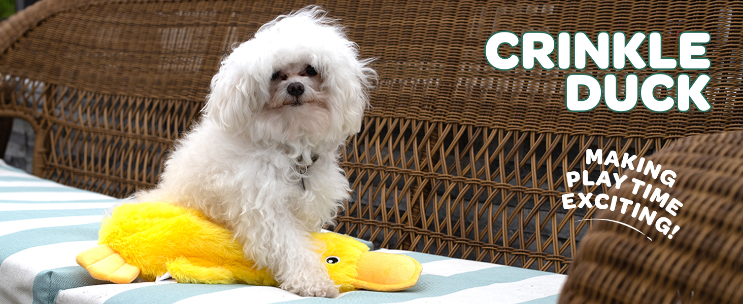 Stuffing free dog toy
