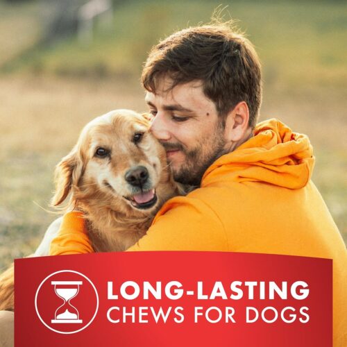 Dog Treats, Chicken Jerky for Dogs, Made with 100% Real Chicken Breast, 16 Ounces, Healthy, Easily Digestible, Long-Lasting, High Protein Dog Treat, Satisfies Dog's Urge to Chew (Pack of 1) - Image 22