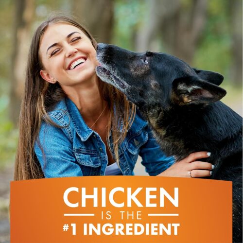 Dog Treats, Chicken Jerky for Dogs, Made with 100% Real Chicken Breast, 16 Ounces, Healthy, Easily Digestible, Long-Lasting, High Protein Dog Treat, Satisfies Dog's Urge to Chew (Pack of 1) - Image 29