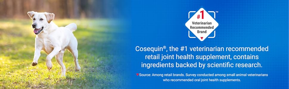Cosequin