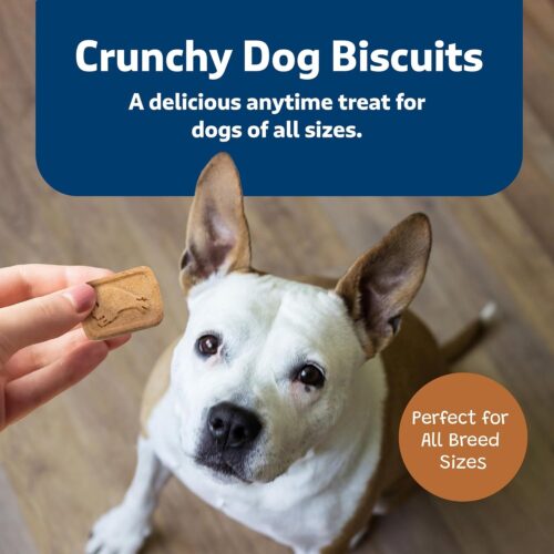 Blue Buffalo Health Bars Crunchy Dog Biscuits, Oven-Baked With Natural Ingredients, Pumpkin & Cinnamon, 16-oz Bag - Image 5