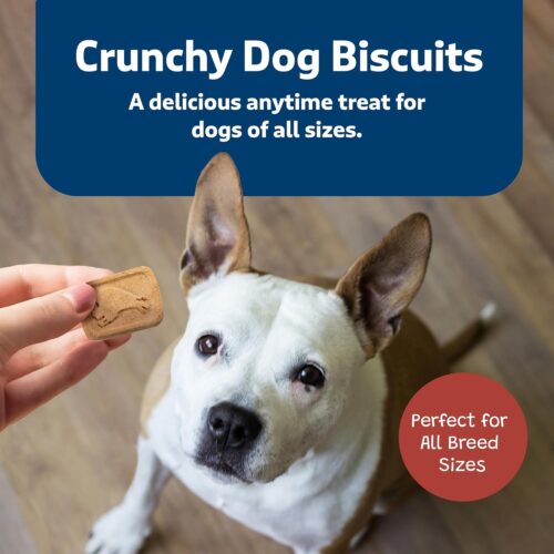 Blue Buffalo Health Bars Crunchy Dog Biscuits, Oven-Baked With Natural Ingredients, Pumpkin & Cinnamon, 16-oz Bag - Image 15