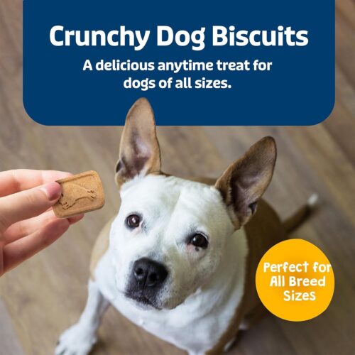 Blue Buffalo Health Bars Crunchy Dog Biscuits, Oven-Baked With Natural Ingredients, Pumpkin & Cinnamon, 16-oz Bag - Image 29