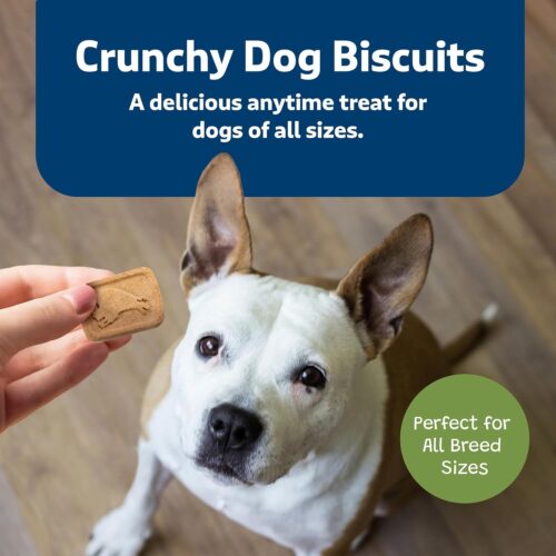 Blue Buffalo Health Bars Crunchy Dog Biscuits, Oven-Baked With Natural Ingredients, Pumpkin & Cinnamon, 16-oz Bag - Image 72
