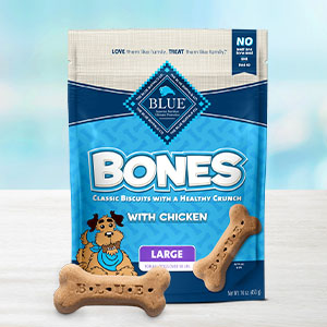 Dog, Dog bones, Dog treat, Dog treats, Healthy dog treats, Natural dog treats, Training treats