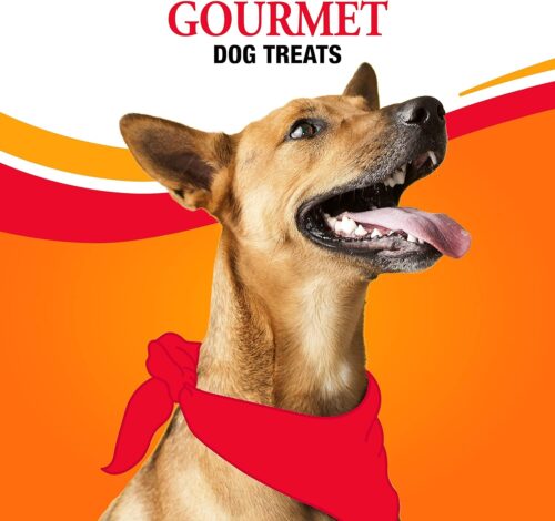 Good'N'Fun Triple Flavored Rawhide Kabobs for Dogs, 1.5 Pound (Pack of 1) - Image 28