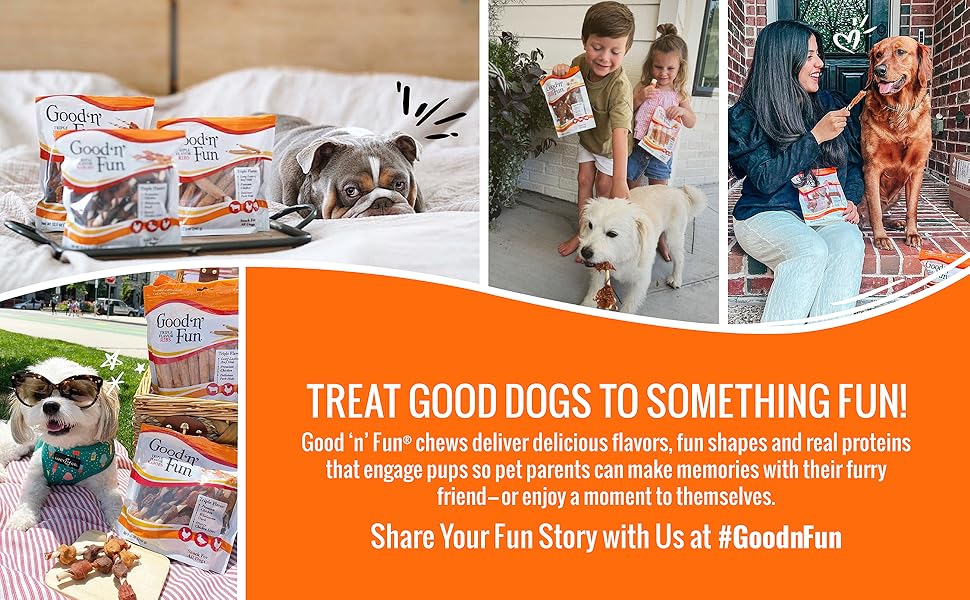 Treat Good Dogs to something Fun.