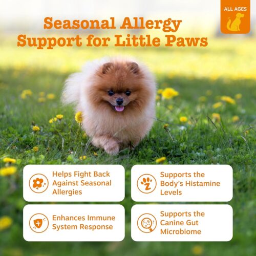 Zesty Paws Dog Allergy Relief- Dog Itching Skin Relief- Dog Probiotics for Itchy Skin and Itchy Ears- Dog Allergy Paw Relief- Dog Allergy Chews- Dog Itch Relief - Dog Skin Allergy Relief - Lamb - 90ct - Image 23