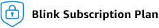 Blink Subscription Plan.