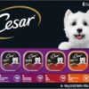 CESAR Adult Wet Dog Food Classic Loaf in Sauce Grilled Chicken, Filet Mignon, Porterhouse Steak, Beef, Chicken & Liver and Turkey Variety Pack, 3.5 oz. Easy Peel Trays, Pack of 36