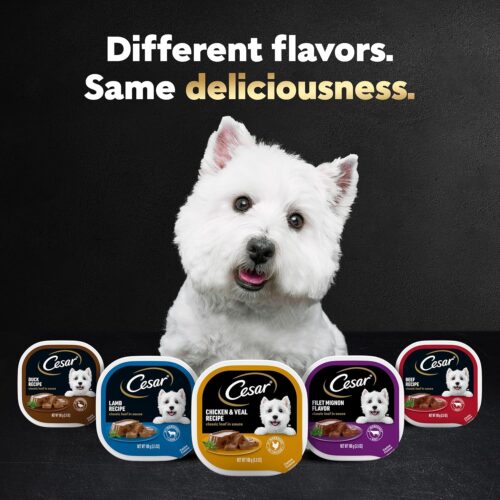 CESAR Adult Wet Dog Food Classic Loaf in Sauce Grilled Chicken, Filet Mignon, Porterhouse Steak, Beef, Chicken & Liver and Turkey Variety Pack, 3.5 oz. Easy Peel Trays, Pack of 36 - Image 9