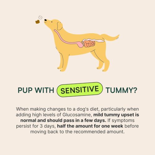 Wuffes Advanced Dog Hip and Joint Supplement with Glucosamine, Chondroitin, Omega 3, MSM, and Green Lipped Mussel, 60 Pork Flavored Chews for Small and Medium Dog Breeds - Image 33