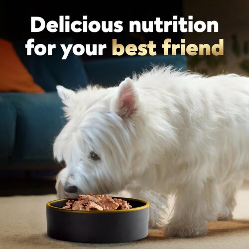 CESAR Adult Wet Dog Food Classic Loaf in Sauce Grilled Chicken, Filet Mignon, Porterhouse Steak, Beef, Chicken & Liver and Turkey Variety Pack, 3.5 oz. Easy Peel Trays, Pack of 36 - Image 109