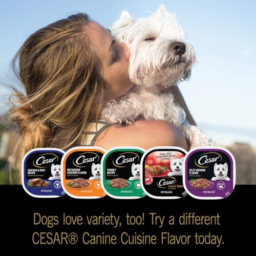 CESAR Adult Wet Dog Food Classic Loaf in Sauce Grilled Chicken, Filet Mignon, Porterhouse Steak, Beef, Chicken & Liver and Turkey Variety Pack, 3.5 oz. Easy Peel Trays, Pack of 36 - Image 111