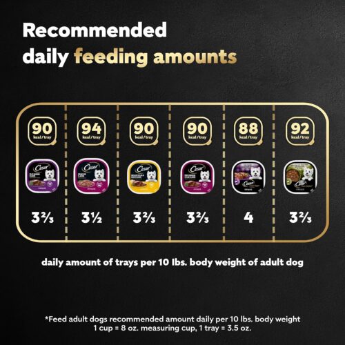 CESAR Adult Wet Dog Food Classic Loaf in Sauce Grilled Chicken, Filet Mignon, Porterhouse Steak, Beef, Chicken & Liver and Turkey Variety Pack, 3.5 oz. Easy Peel Trays, Pack of 36 - Image 117