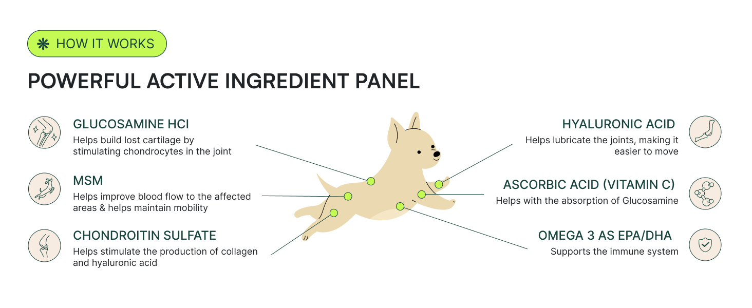 hip and joint for small dogs