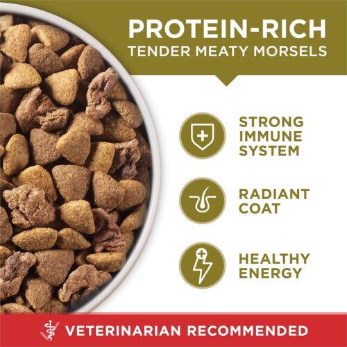Purina ONE Dry Dog Food Lamb and Rice Formula - 31.1 lb. Bag - Image 2