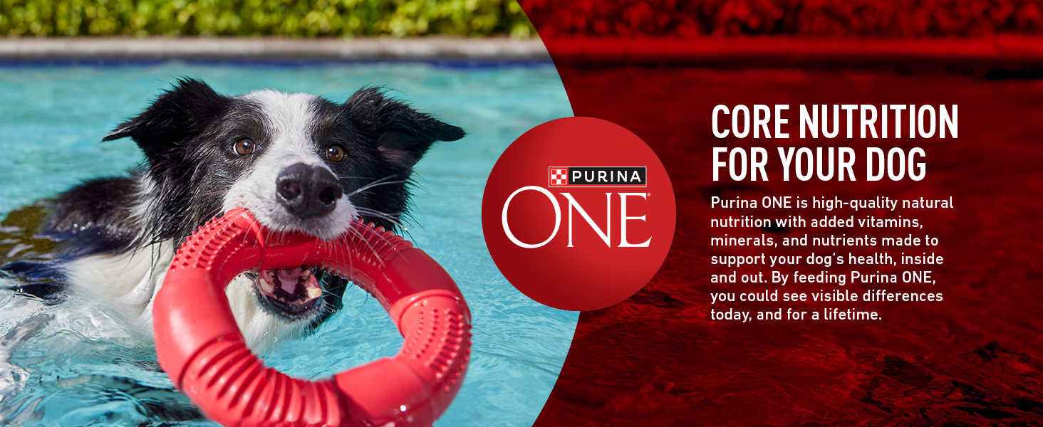 Photo of a dog in a pool next to Purina One statement on nutrition