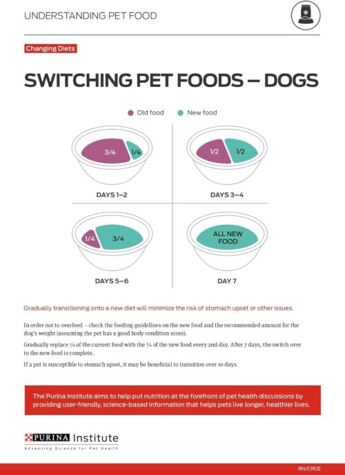Purina Pro Plan Sensitive Skin and Stomach Dog Food Dry, Adult Salmon & Rice Formula, Digestive Health - 30 lb. Bag - Image 23
