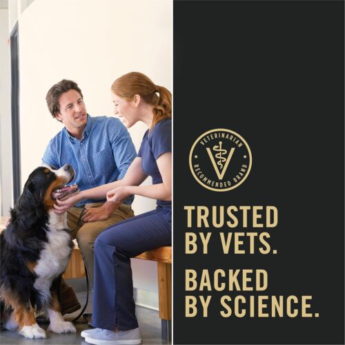 Purina Pro Plan Sensitive Skin and Stomach Dog Food Dry, Adult Salmon & Rice Formula, Digestive Health - 30 lb. Bag - Image 31