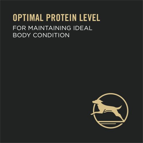 Purina Pro Plan Sensitive Skin and Stomach Dog Food Dry, Adult Salmon & Rice Formula, Digestive Health - 30 lb. Bag - Image 38