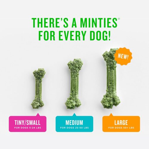 Minties Dental Chews for Dogs, 40 Count, Vet-Recommended Mint-Flavored Dental Treats for Medium Dogs 25-50 lbs, Dental Bones Clean Teeth, Fight Bad Breath, and Removes Plaque and Tartar - Image 5