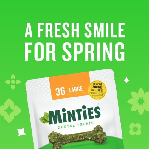 Minties Dental Chews for Dogs, 40 Count, Vet-Recommended Mint-Flavored Dental Treats for Medium Dogs 25-50 lbs, Dental Bones Clean Teeth, Fight Bad Breath, and Removes Plaque and Tartar - Image 11