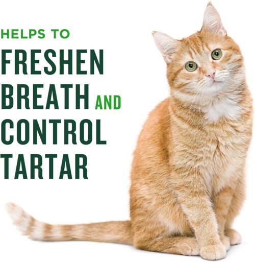 Minties Dental Chews for Dogs, 40 Count, Vet-Recommended Mint-Flavored Dental Treats for Medium Dogs 25-50 lbs, Dental Bones Clean Teeth, Fight Bad Breath, and Removes Plaque and Tartar - Image 34