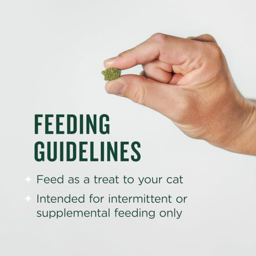 Minties Dental Chews for Dogs, 40 Count, Vet-Recommended Mint-Flavored Dental Treats for Medium Dogs 25-50 lbs, Dental Bones Clean Teeth, Fight Bad Breath, and Removes Plaque and Tartar - Image 36