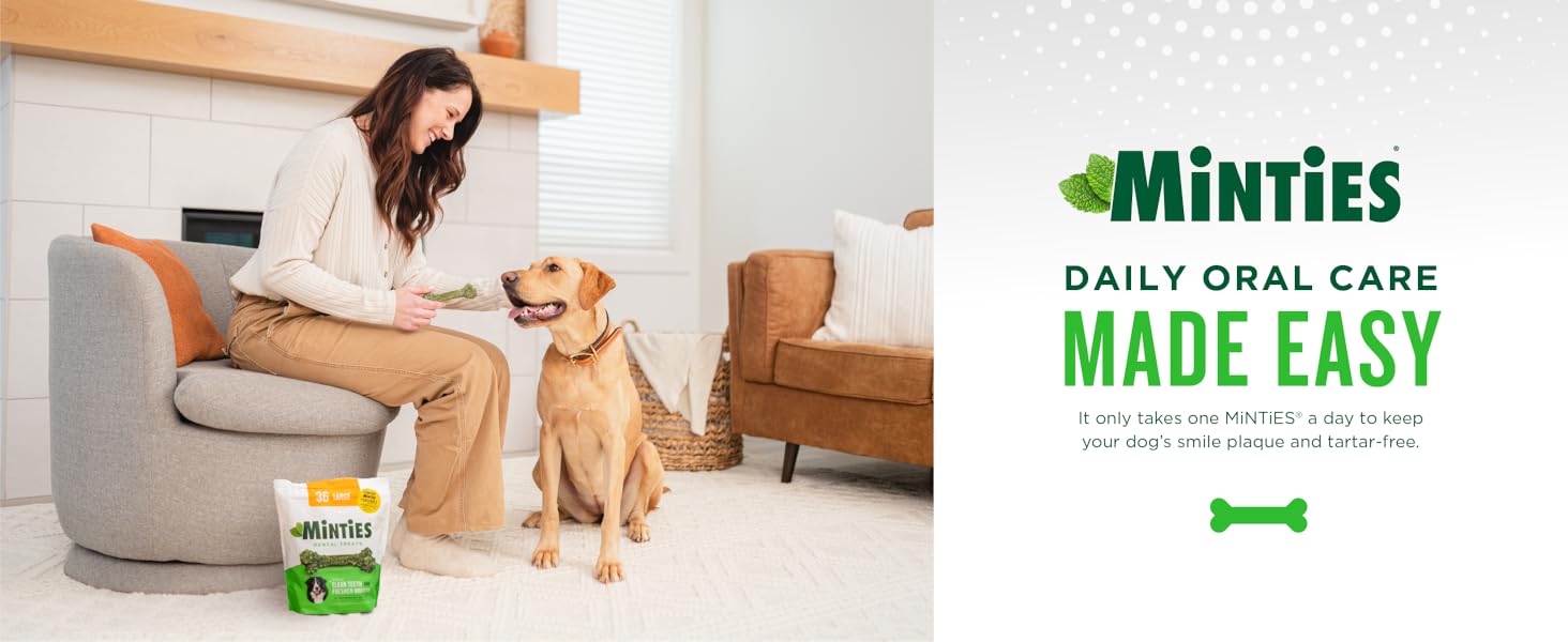 dental care for dogs