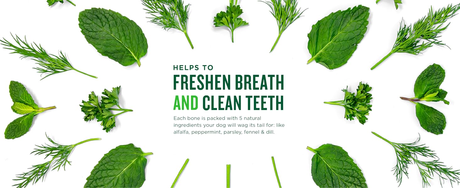 freshens dog breath