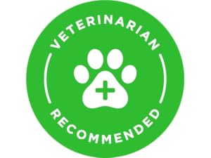 veterinarian