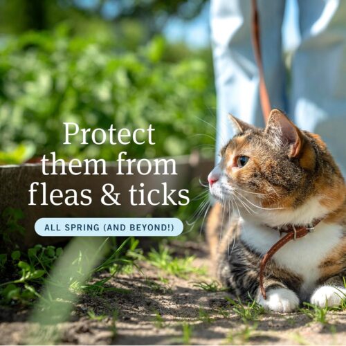 PetArmor Plus Flea and Tick Prevention for Dogs, Dog Flea and Tick Treatment, 3 Doses, Waterproof Topical, Fast Acting, Small Dogs (5-22 lbs) - Image 35