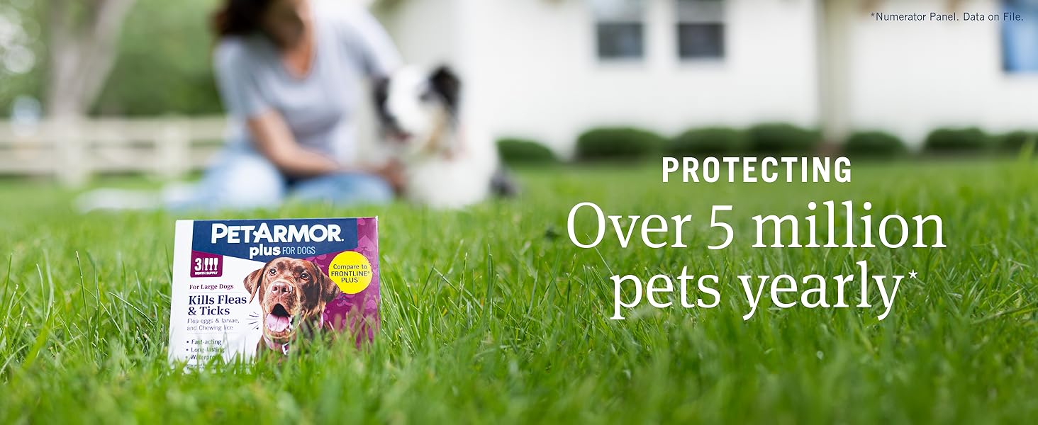 protect your pet