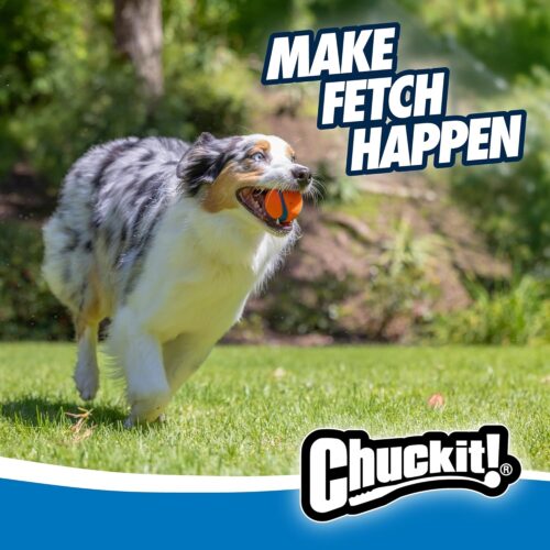 Chuckit! Ultra Ball Dog Toy - Medium Bouncy Fetch Balls For Dogs 20-60 lbs - Made from Durable Rubber - Floating Water Pet Toys - Size Medium - 2.5-inch Diameter - Pack of 2 - Image 3