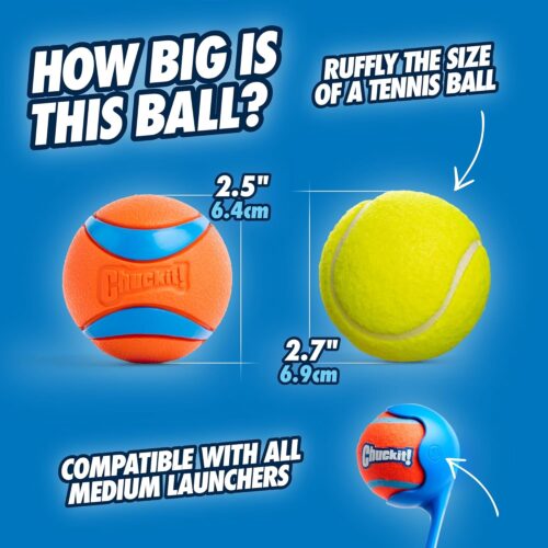 Chuckit! Ultra Ball Dog Toy - Medium Bouncy Fetch Balls For Dogs 20-60 lbs - Made from Durable Rubber - Floating Water Pet Toys - Size Medium - 2.5-inch Diameter - Pack of 2 - Image 4