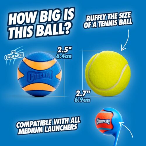 Chuckit! Ultra Ball Dog Toy - Medium Bouncy Fetch Balls For Dogs 20-60 lbs - Made from Durable Rubber - Floating Water Pet Toys - Size Medium - 2.5-inch Diameter - Pack of 2 - Image 11