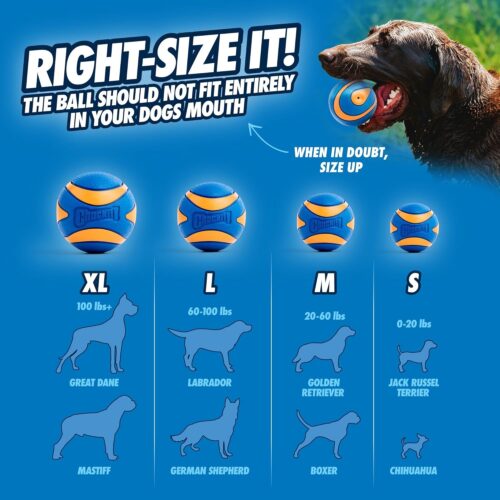 Chuckit! Ultra Ball Dog Toy - Medium Bouncy Fetch Balls For Dogs 20-60 lbs - Made from Durable Rubber - Floating Water Pet Toys - Size Medium - 2.5-inch Diameter - Pack of 2 - Image 12