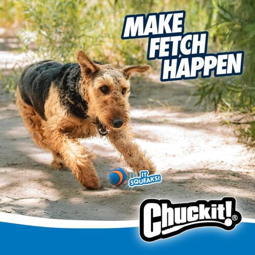Chuckit! Ultra Ball Dog Toy - Medium Bouncy Fetch Balls For Dogs 20-60 lbs - Made from Durable Rubber - Floating Water Pet Toys - Size Medium - 2.5-inch Diameter - Pack of 2 - Image 15