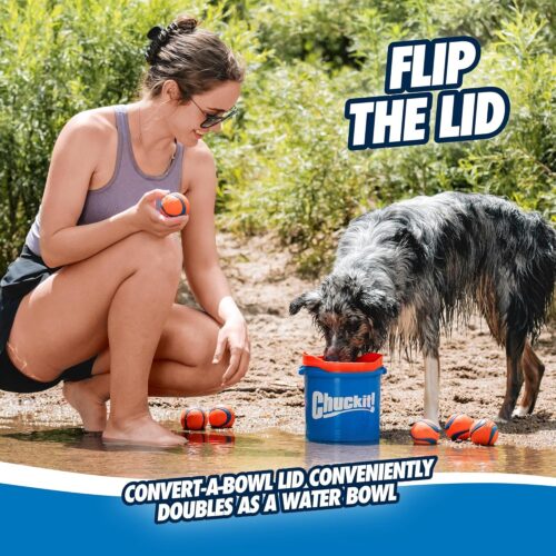 Chuckit! Ultra Ball Dog Toy - Medium Bouncy Fetch Balls For Dogs 20-60 lbs - Made from Durable Rubber - Floating Water Pet Toys - Size Medium - 2.5-inch Diameter - Pack of 2 - Image 20