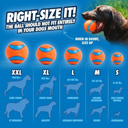 Chuckit! Ultra Ball Dog Toy - Medium Bouncy Fetch Balls For Dogs 20-60 lbs - Made from Durable Rubber - Floating Water Pet Toys - Size Medium - 2.5-inch Diameter - Pack of 2 - Image 22