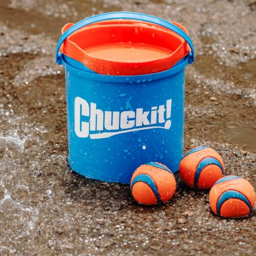 Chuckit! Ultra Ball Dog Toy - Medium Bouncy Fetch Balls For Dogs 20-60 lbs - Made from Durable Rubber - Floating Water Pet Toys - Size Medium - 2.5-inch Diameter - Pack of 2 - Image 24