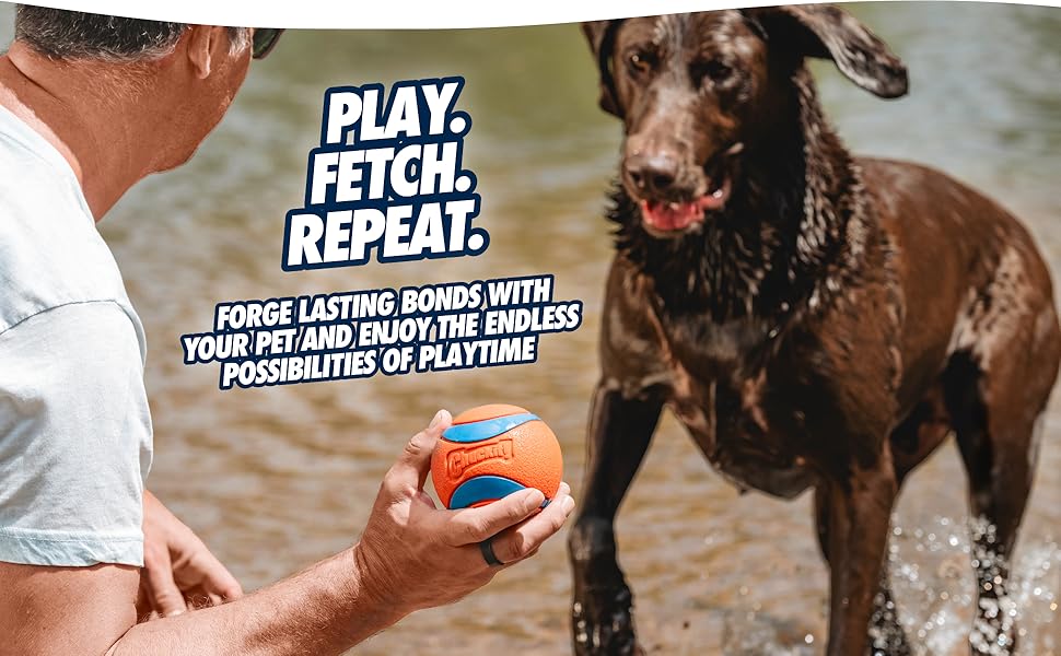 Play. Fetch. Repeat.