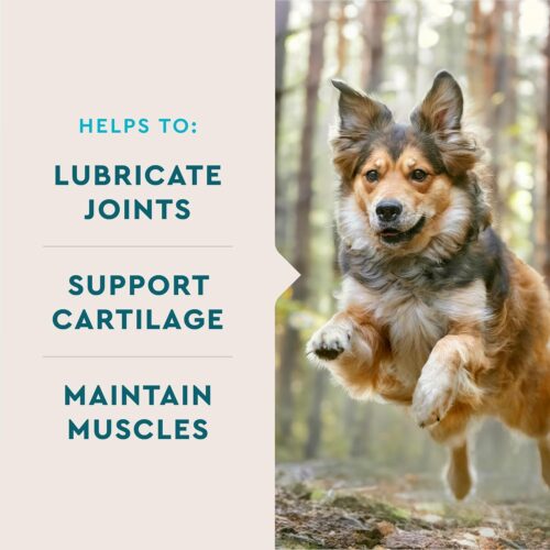 VetIQ Glucosamine Hip & Joint Supplement for Dogs, 180 Soft Chews, Dog Joint Support Supplement with MSM and Krill, Dog Health Supplies Large & Small Breed, Chicken Flavored Chewables - Image 4