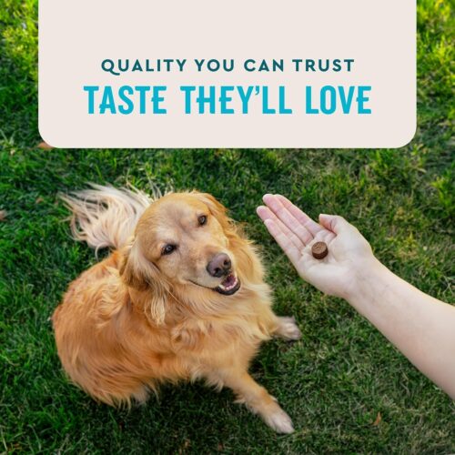VetIQ Glucosamine Hip & Joint Supplement for Dogs, 180 Soft Chews, Dog Joint Support Supplement with MSM and Krill, Dog Health Supplies Large & Small Breed, Chicken Flavored Chewables - Image 7