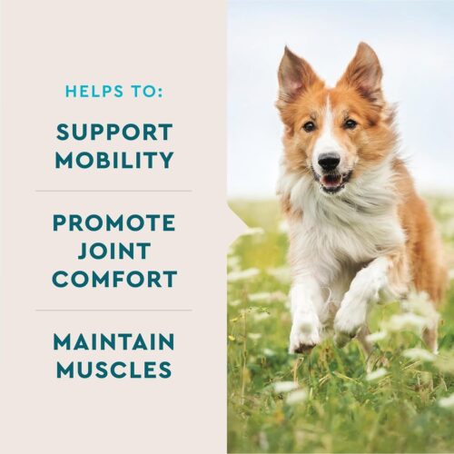 VetIQ Glucosamine Hip & Joint Supplement for Dogs, 180 Soft Chews, Dog Joint Support Supplement with MSM and Krill, Dog Health Supplies Large & Small Breed, Chicken Flavored Chewables - Image 16