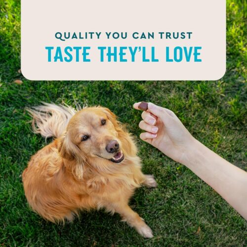 VetIQ Glucosamine Hip & Joint Supplement for Dogs, 180 Soft Chews, Dog Joint Support Supplement with MSM and Krill, Dog Health Supplies Large & Small Breed, Chicken Flavored Chewables - Image 19